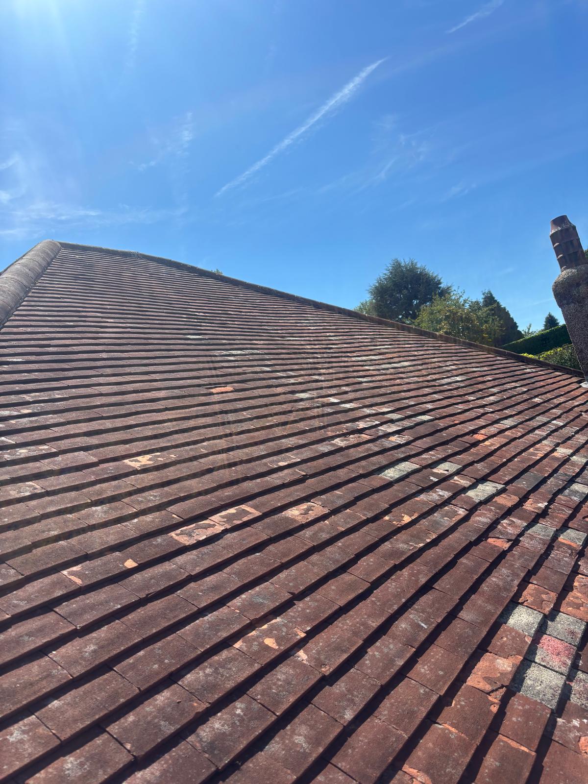Moss-covered tiled roof after cleaning by Noble Exterior Cleaning