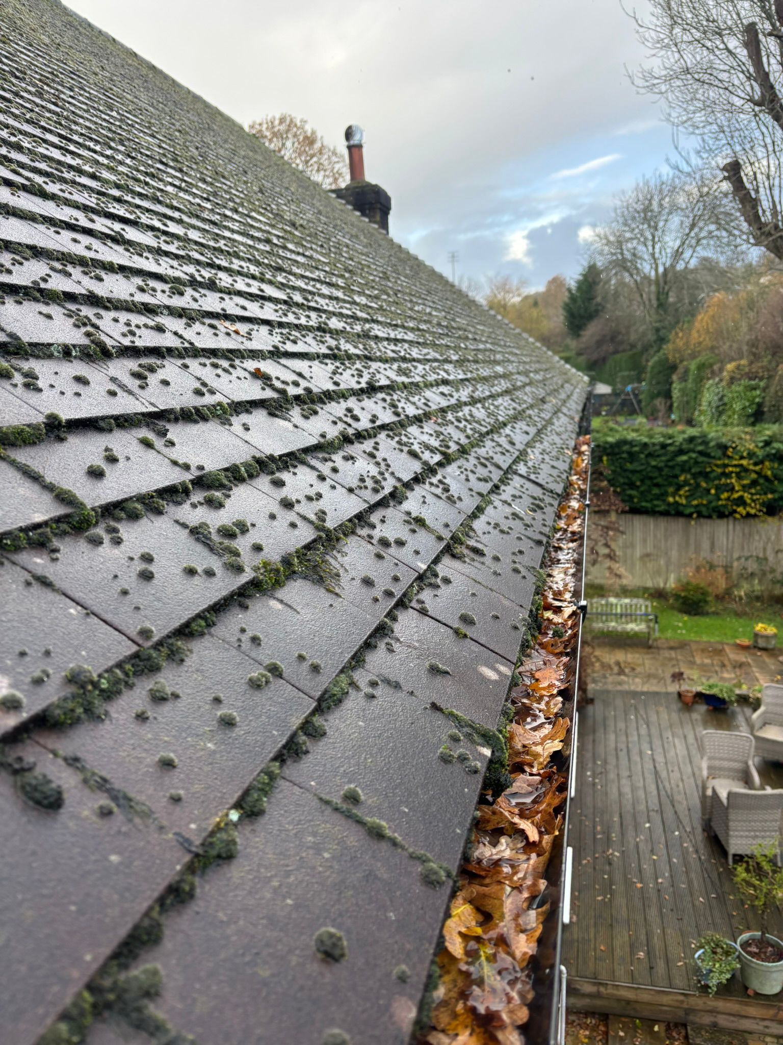 Gutter filled with leaves and moss before cleaning by Noble Exterior Cleaning